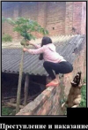 1692887541344.png