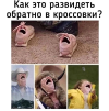 1692900378973.png