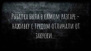 1692979019768.png