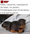 1693129003445.png