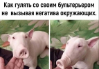 1693322002658.png