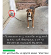 1693387232278.png