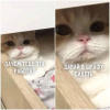 1693412330681.png
