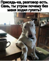 1693503398140.png