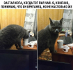 1693503497198.png