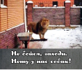 1693503547709.png