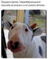 1693503642746.png