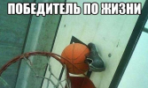 1693503677572.png