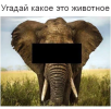1693504722456.png