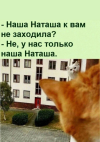 1693651111203.png
