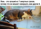 1693762451390.png