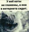 1693845786239.png