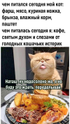 1693845813297.png