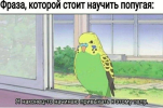 1693899645102.png