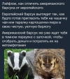 1693900216701.png