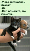 1694097901601.png