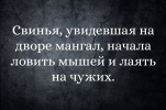 1694186108137.png