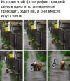 1694421610363.png