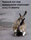 1694510524952.png