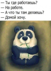 1694544806245.png