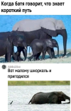 1694545237263.png