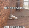 1694670772215.png