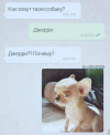 1694716963010.png