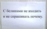 1694860735503.png