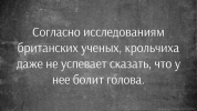 1694974410974.png