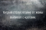 1694975229026.png