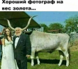 1695054482665.png