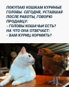 1695234911534.png