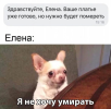 1695363980598.png