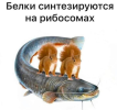 1695370503231.png