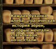 1695498566223.png