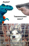 1695759421464.png