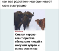 1696164014637.png