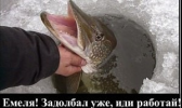 1696227131559.png