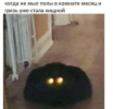 1696401446848.png