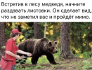 1696446632074.png
