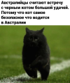 1696489527140.png