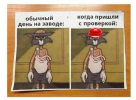 1696498282510.png