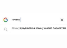 1696521748926.png