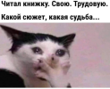 1696521807411.png