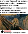 1696528002058.png