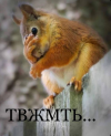 1696766096113.png