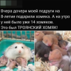 1696867739945.png