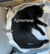 1696867792864.png