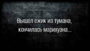 1697049832273.png