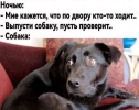 1697049857139.png